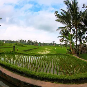 Vinarya , Ubud (Bali) Indonesia